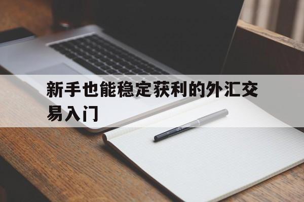 新手也能稳定获利的外汇交易入门的简单介绍